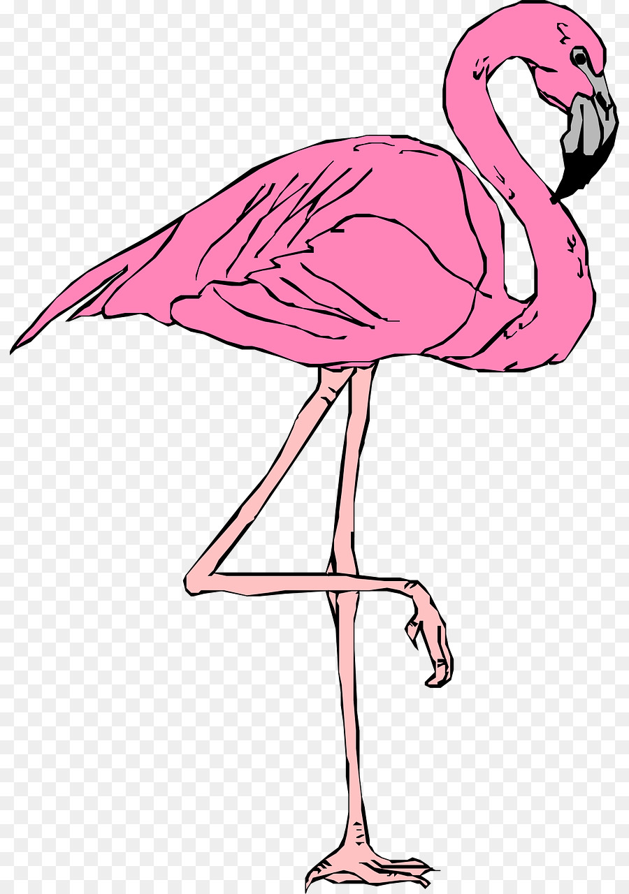 flamingo bilder kostenlos  vorlagen zum ausmalen gratis