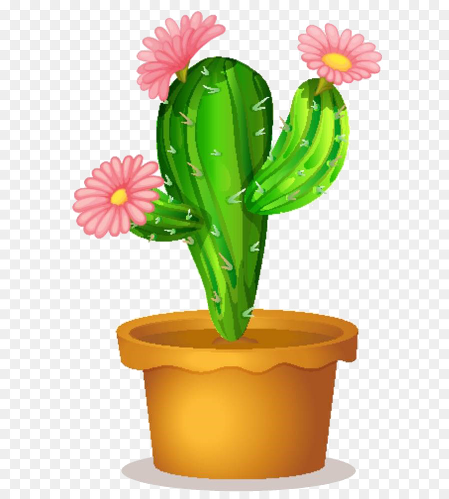 Cactaceae Succulent plant Clip art - Cartoon cactus material png