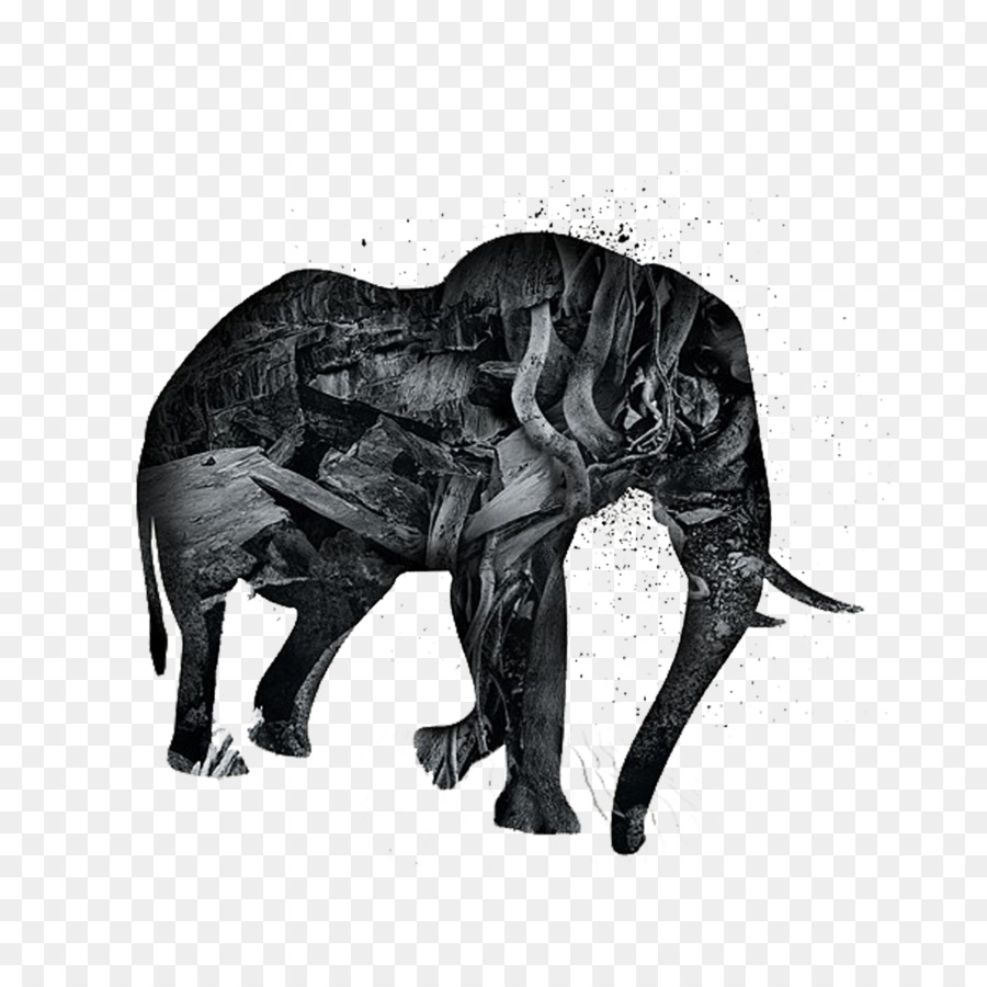 Kuda Poster Hewan Ilustrasi Gajah Unduh Black Panther Satwa
