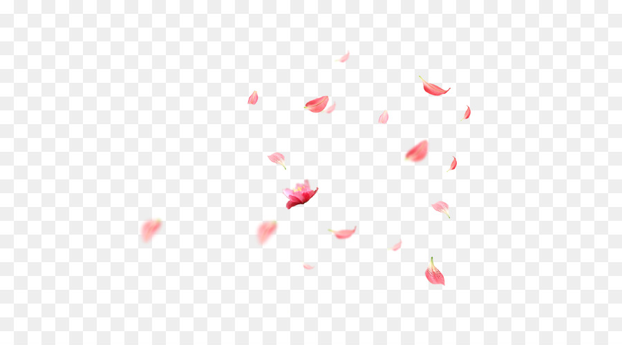 Cherry Blossom Cartoon png download - 500*500 - Free Transparent Petal