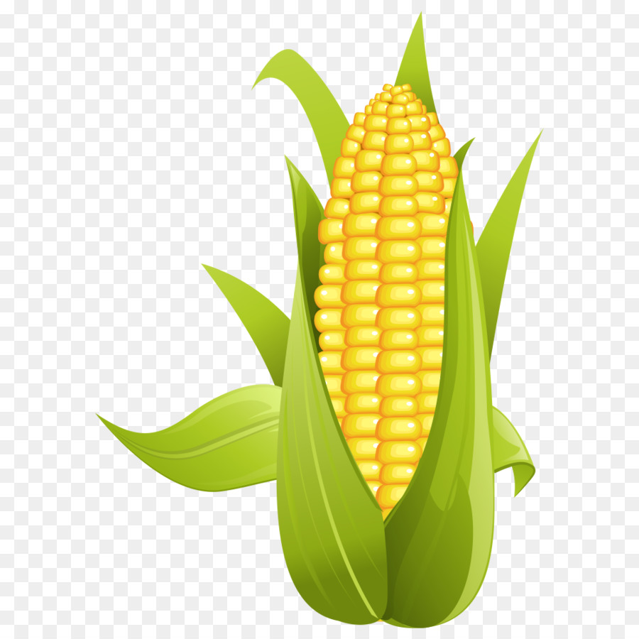 Corn on the cob Maize Sweet corn Clip art - corn 1000*1000 transprent