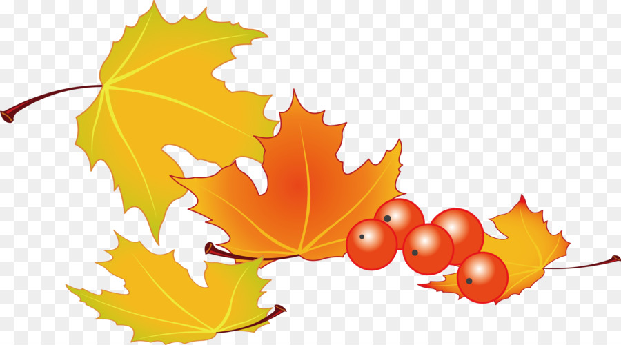 Leaf - Autumn leaves png vector material png download - 3439*1909