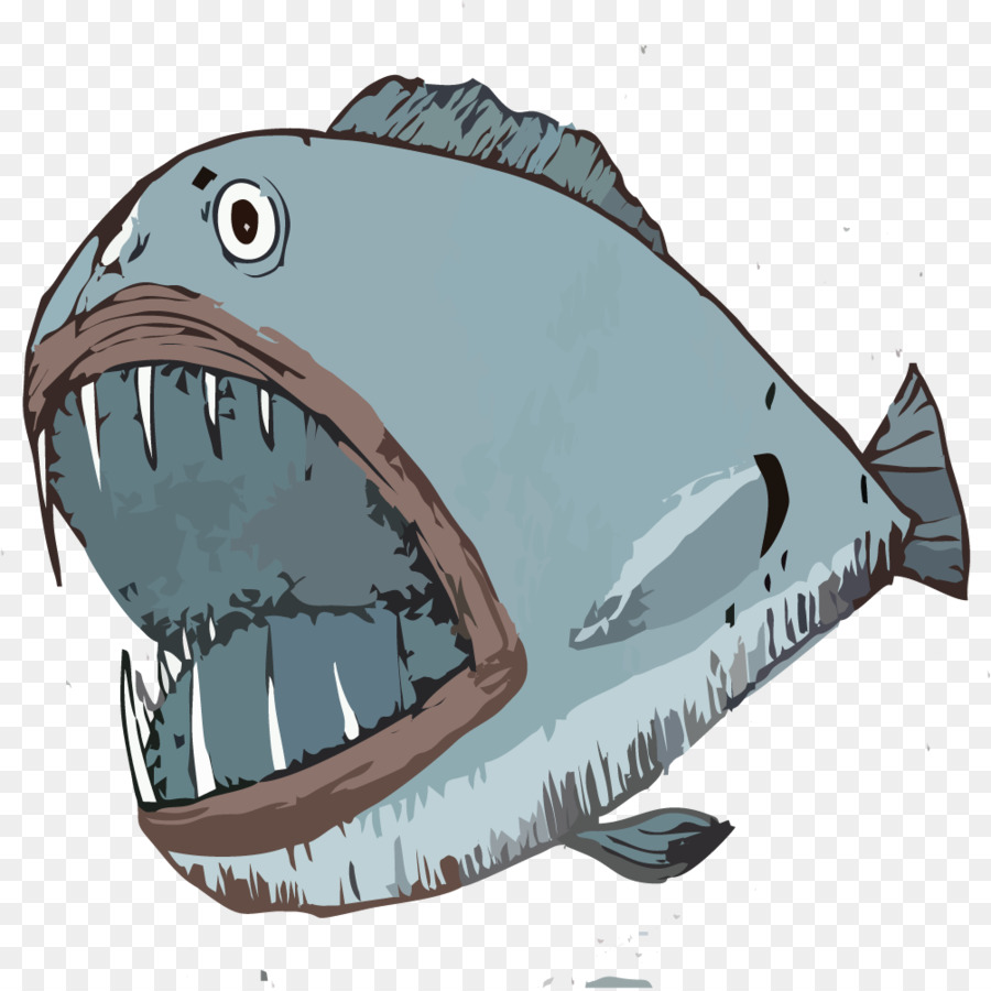 Tiger Shark Ilustrasi Tangan Ditarik Hiu Png Unduh 10041004