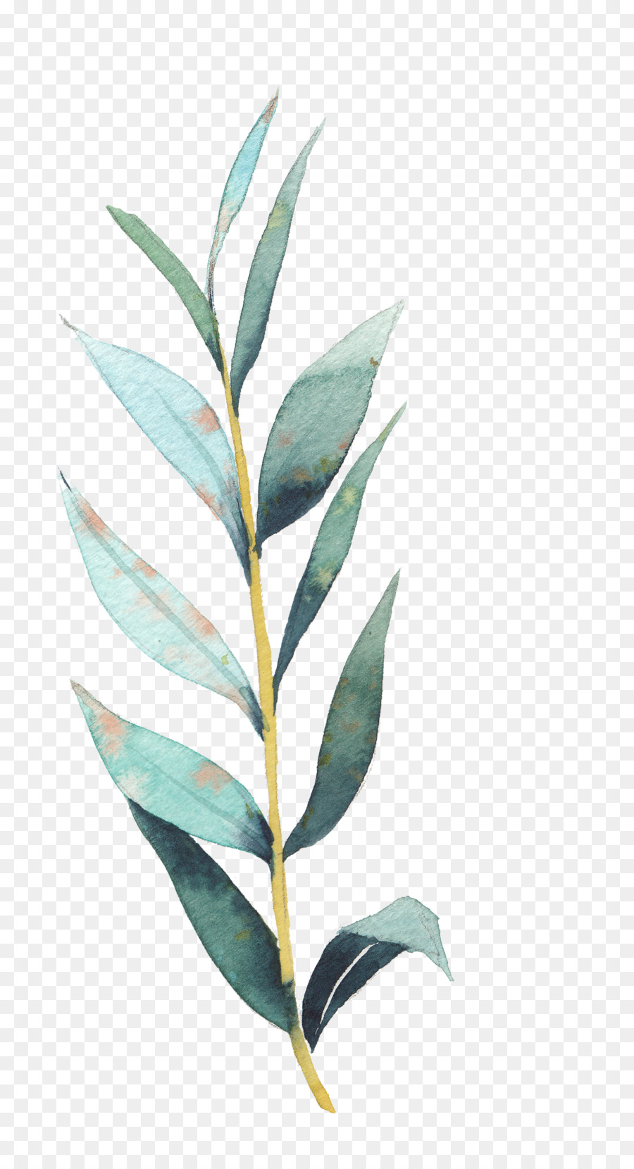 Drawing Art Stock illustration Illustration - plant png download - 1450