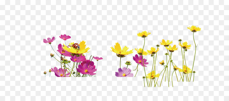 Floral design Yellow Flower - A field of flowers png download - 784*383