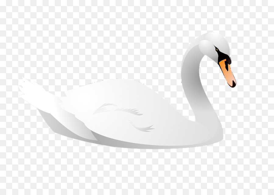 Cygnini Bird Cartoon Animal Illustration - Cartoon swan vector png