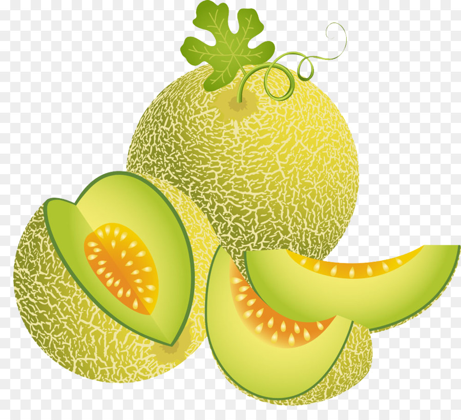 Cantaloupe Melon Illustration - Green melon 1000*906 transprent Png