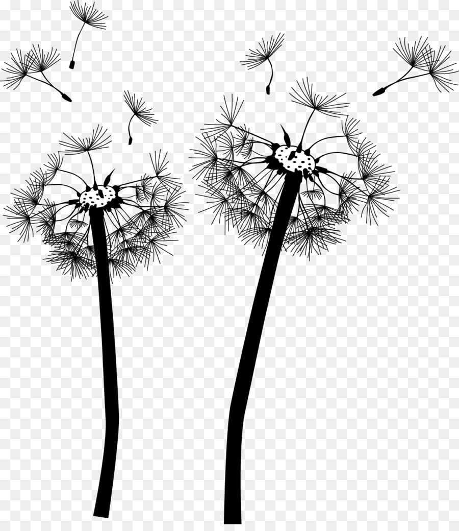 Black And White Flower png download - 1185*1352 - Free Transparent ...