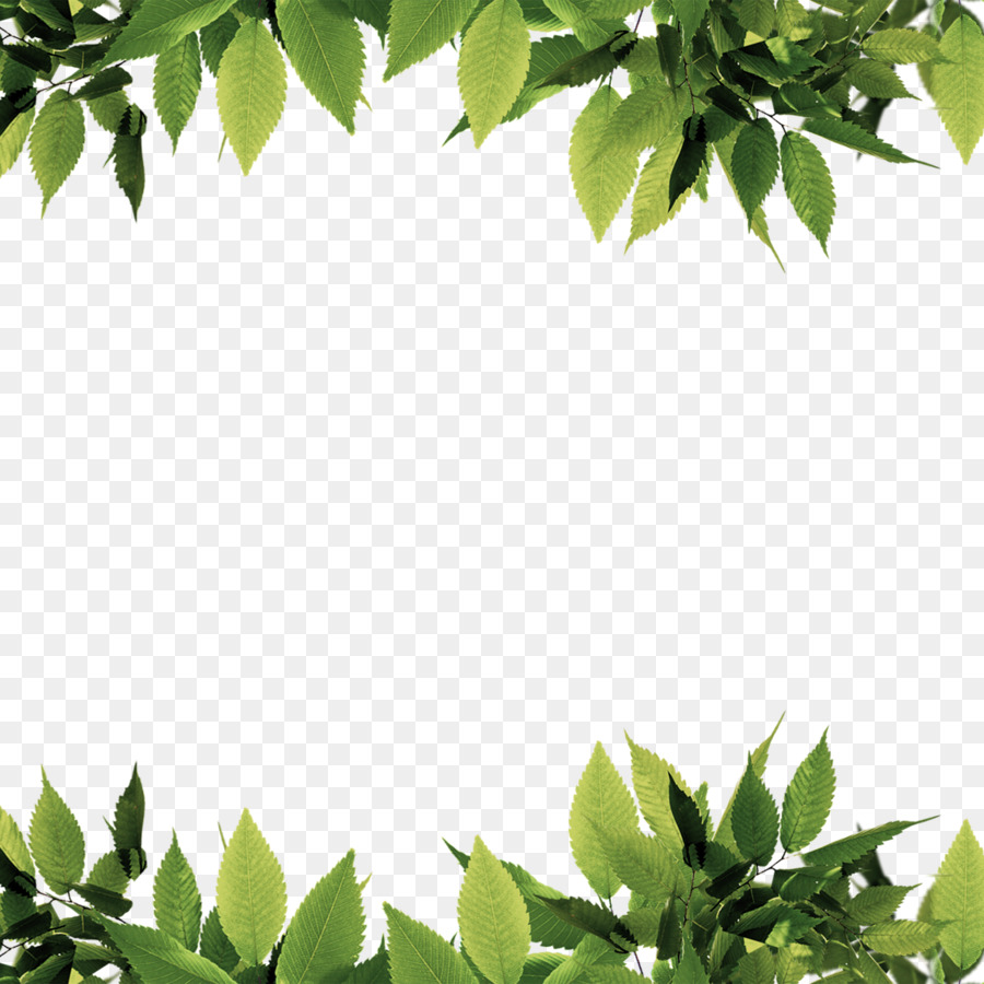 Green Leaf Computer file - Green leaves border png ...