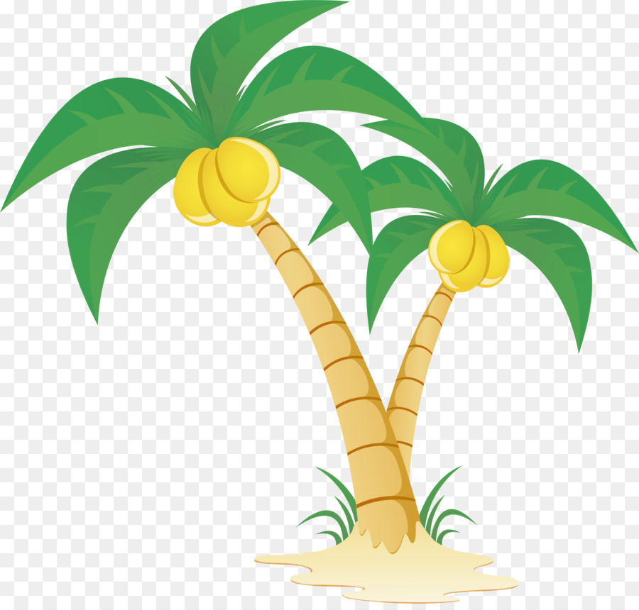 Download Arecaceae Tree Clip art - Coconut tree vector material png png download - 5135*4853 - Free ...
