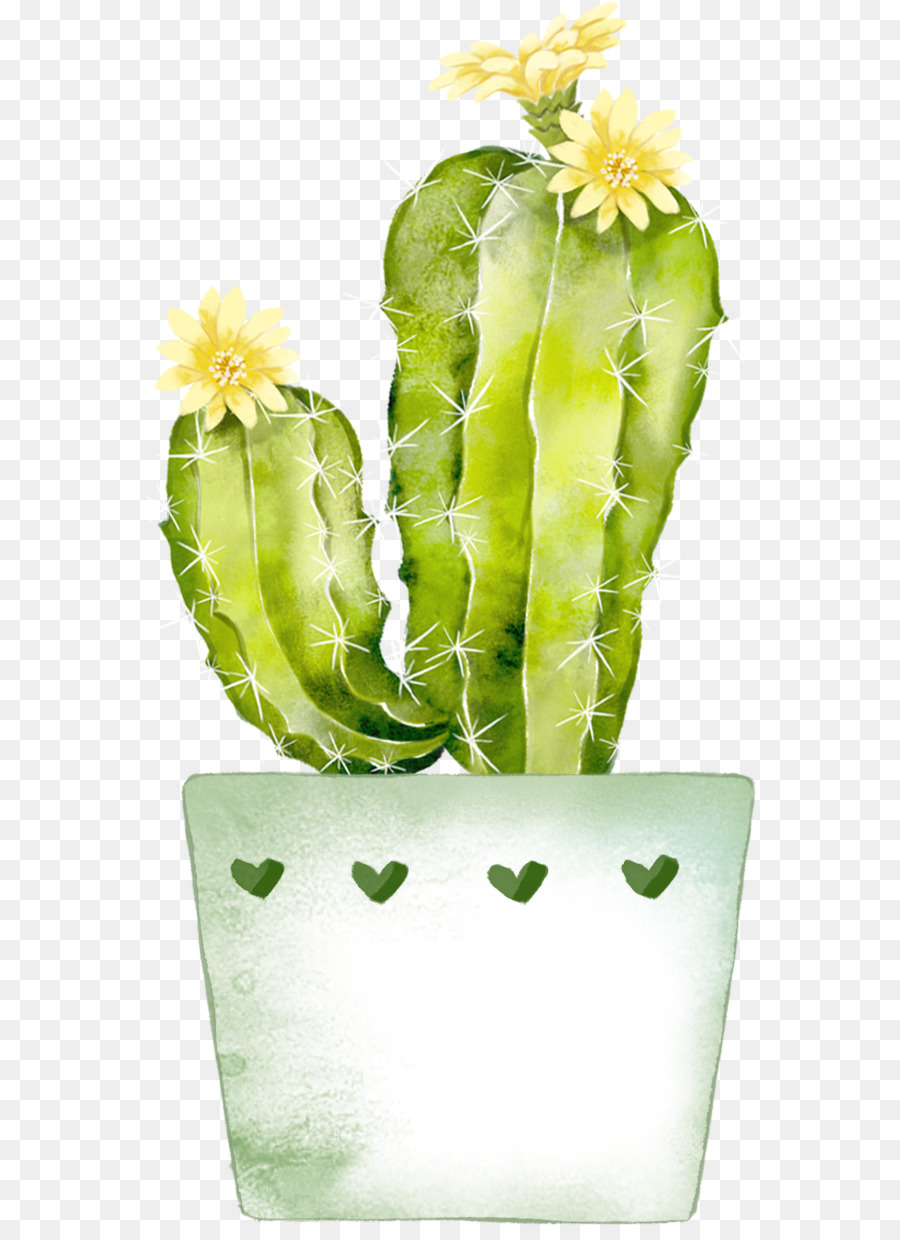  Gambar  Bunga Kaktus  Kartun Gambar  Bunga