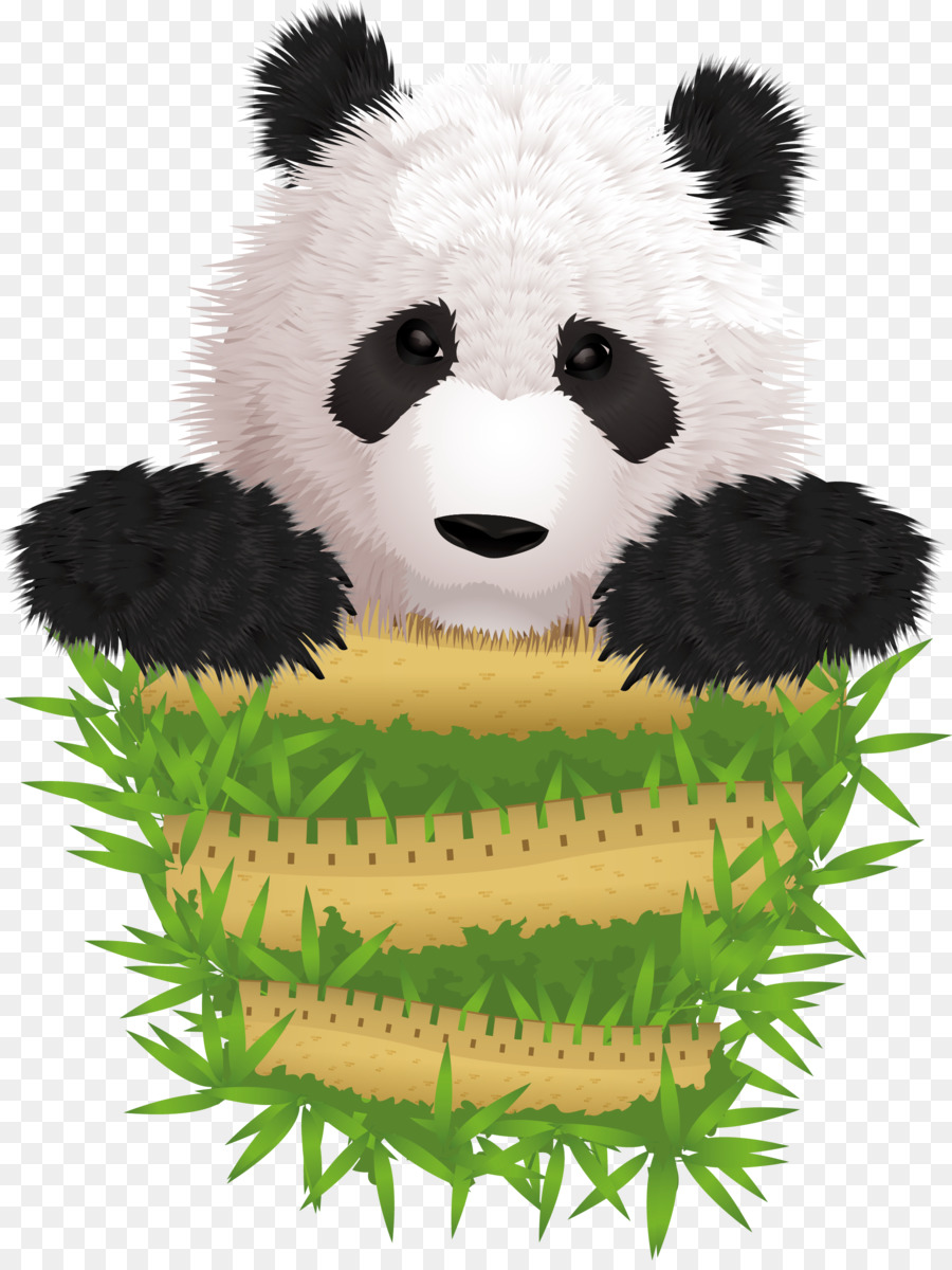 Panda Raksasa Kelucuan Ilustrasi Vektor Lucu Panda Langka Unduh