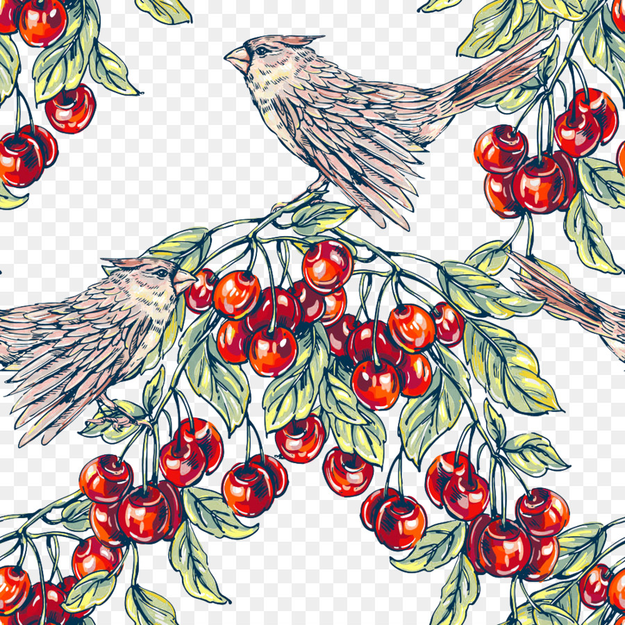 Lukisan Ilustrasi Cherry Ilustrasi Burung Png Unduh 10001000