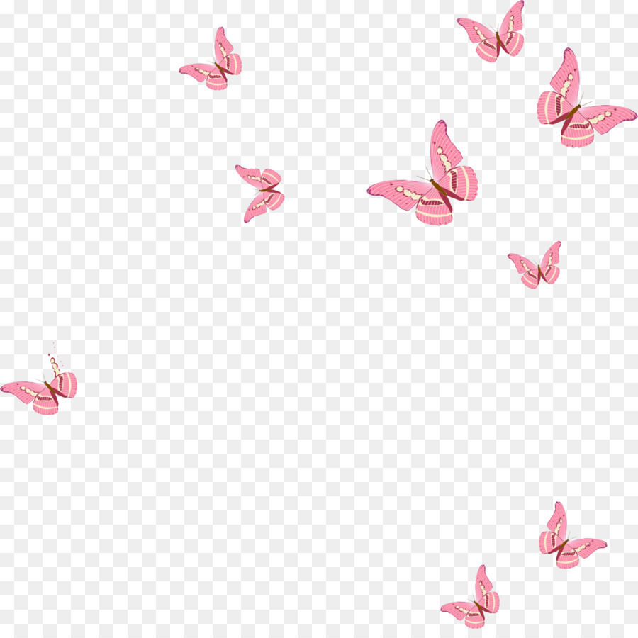 Butterfly Euclidean vector Pink butterfly png download 