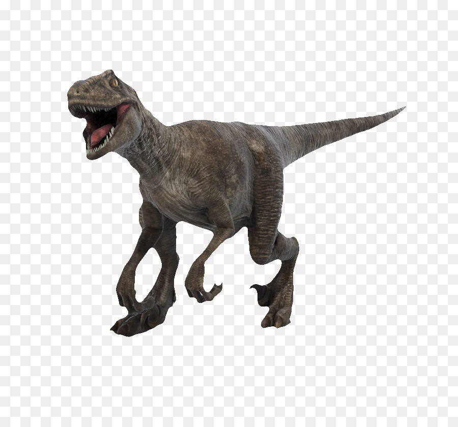 Velociraptor Brachiosaurus Tyrannosaurus 3D dinosaur VR 