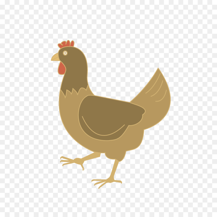Ilustrasi Burung Ayam Ayam Kemaluan Png Unduh 36003600