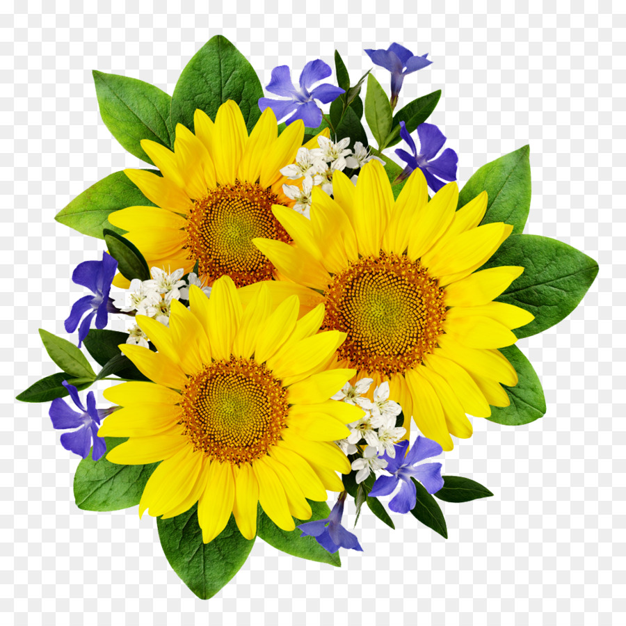 Free Free 145 Clear Background Sunflower Bouquet Svg SVG PNG EPS DXF File