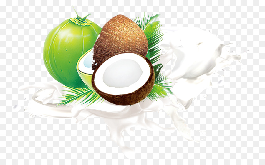 gambar buah kelapa png koleksi gambar hd gambar buah kelapa png koleksi gambar hd