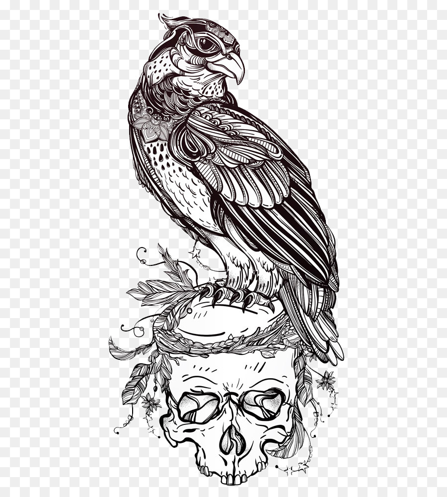Bird Of Prey Menggambar Ilustrasi Elang Skull Ilustrasi Gambar