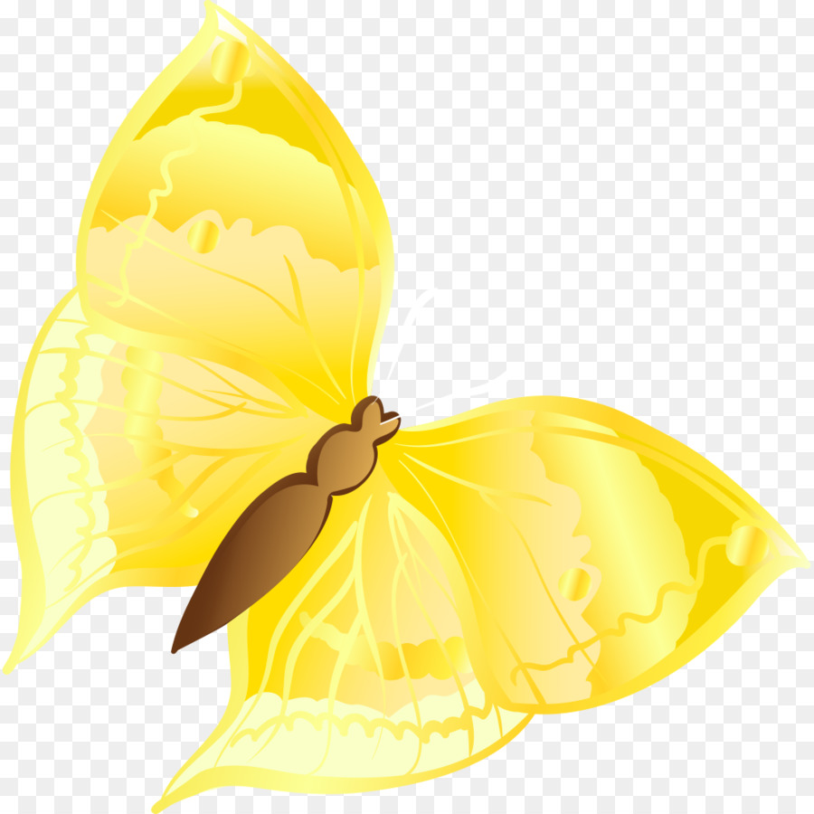 Cartoon Graphic design - Cartoon golden butterfly png download - 1000*