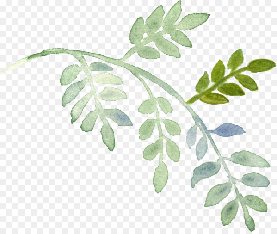 Plant Download Watercolor painting - Hand-painted watercolor leaves
