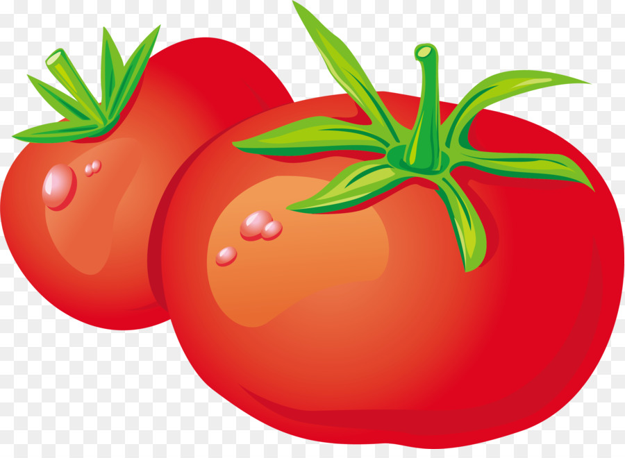 Vegetable Zakuski Tomato Fruit - Cartoon tomato png download - 2679*