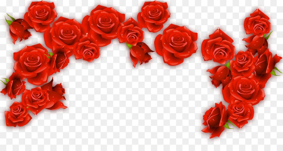 free frame rose photo download Rosxe9 Red Red  1500 Wine  download Rose Rose png Border