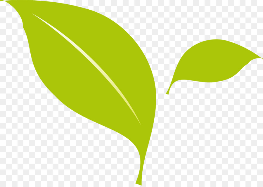 Flat design - Two green leaves Vector creative icon png 