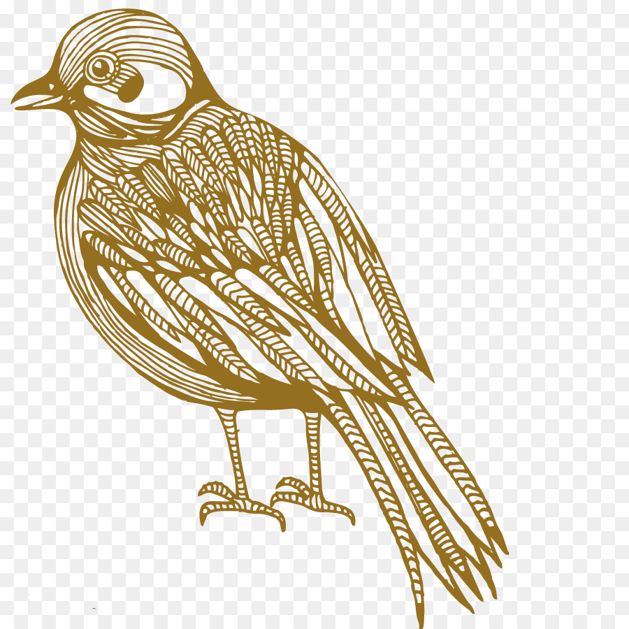 Burung Kartun Fotografi Ilustrasi Vector Burung Terbang Unduh