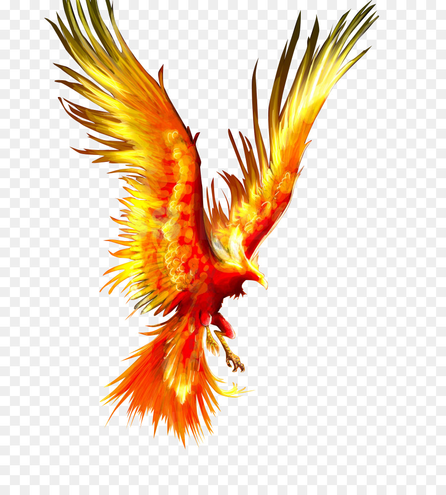 Phoenix Firebird Tattoo Mythology - Fireworks Phoenix png download ...