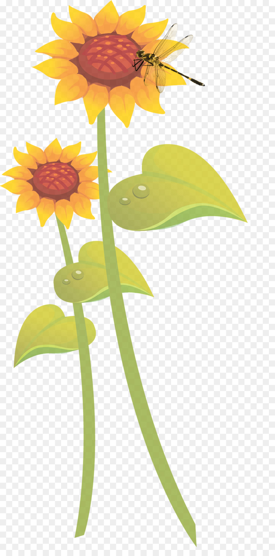 Umum Bunga Matahari Bunga Matahari Gerakan Mahasiswa Ilustrasi