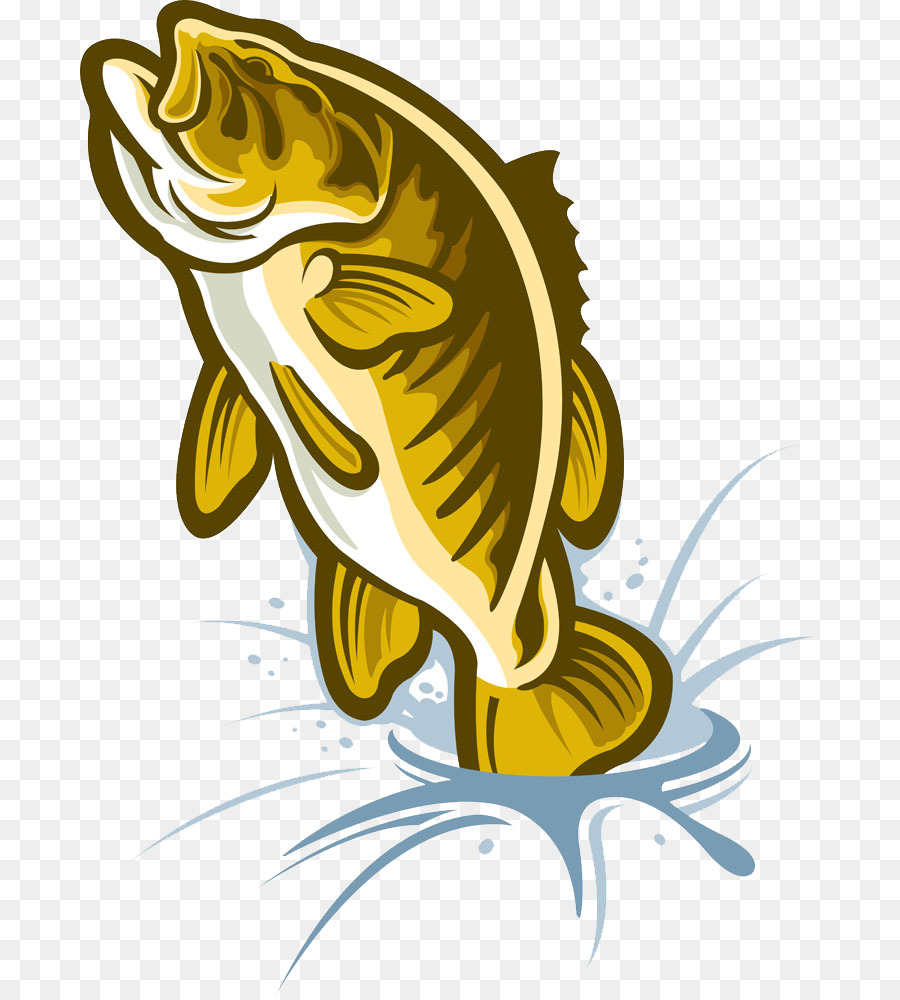 Largemouth Bass Cartoon
 Cartoon mouth Bass Drawing