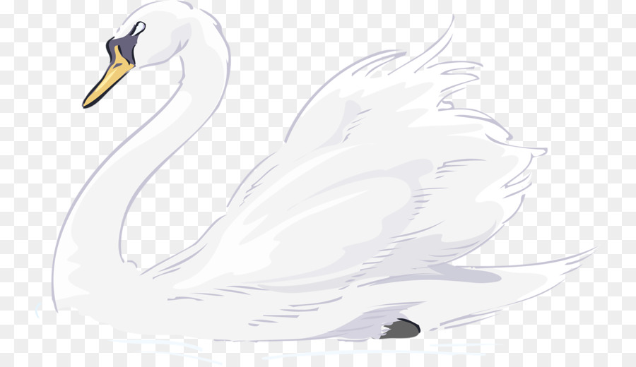 Black swan Trumpeter swan Tundra Swan Clip art - Cartoon Goose png