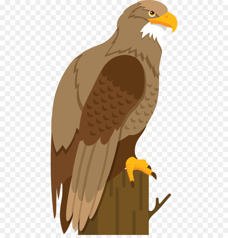 Bald Eagle Hawk Ilustrasi Kartun Eagle Vektor Tunggul Unduh