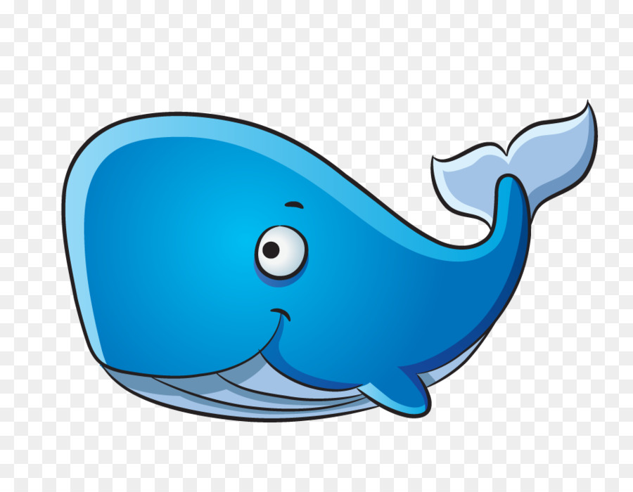Dolphin Blue whale Drawing Humpback whale - whale png download - 956