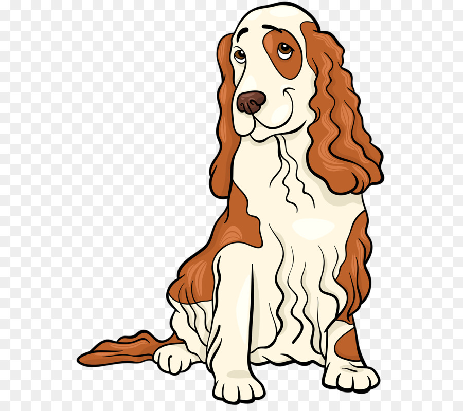 Cocker Spaniel Cartoon Drawing - Carton