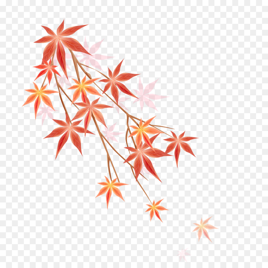 Daun Maple Ilustrasi Daun Maple Ilustrasi Png Unduh 11811181