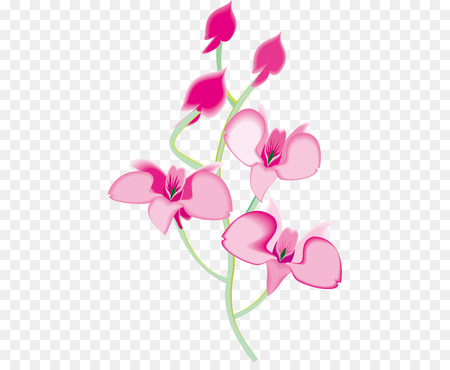Download Orchid Flower Vector Png | Orchid Flowers