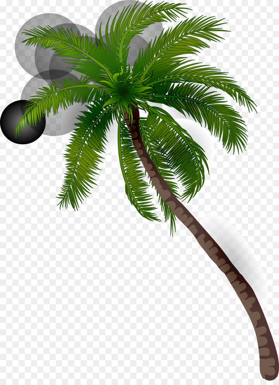 Kelapa Arecaceae Ilustrasi Green Mimpi Pohon Kelapa Unduh Pabrik