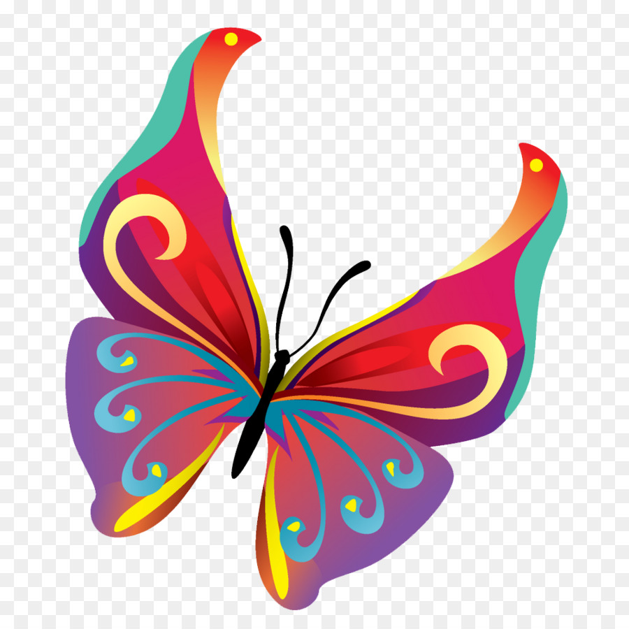 Download Butterfly Clip art - Butterflies Vector PNG Pic png ...