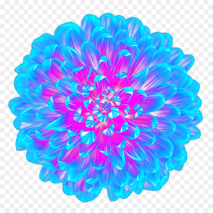 Light Blue  Flower  Cool  blue  flower  top view png download 