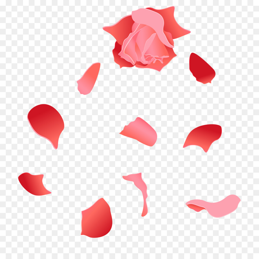 Download Beach rose Petal Euclidean vector - Rat painted rose petal ...