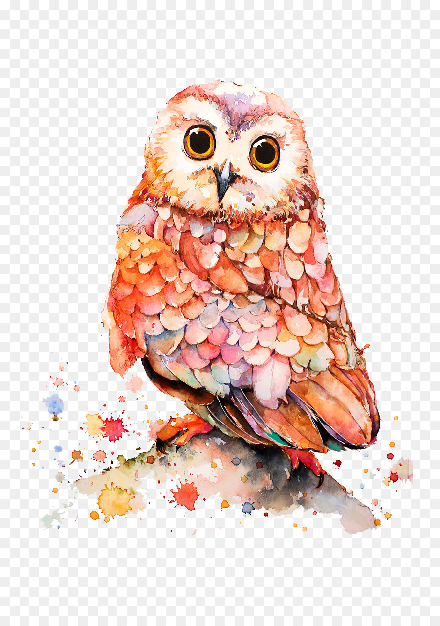 Owl Kartun Ilustrasi Tangan Dicat Owl Unduh Burung Pemangsa