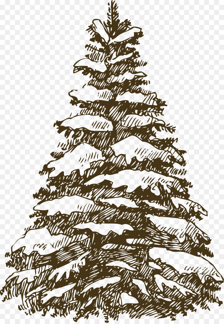 Gambar Ilustrasi Pohon Cemara Iluszi