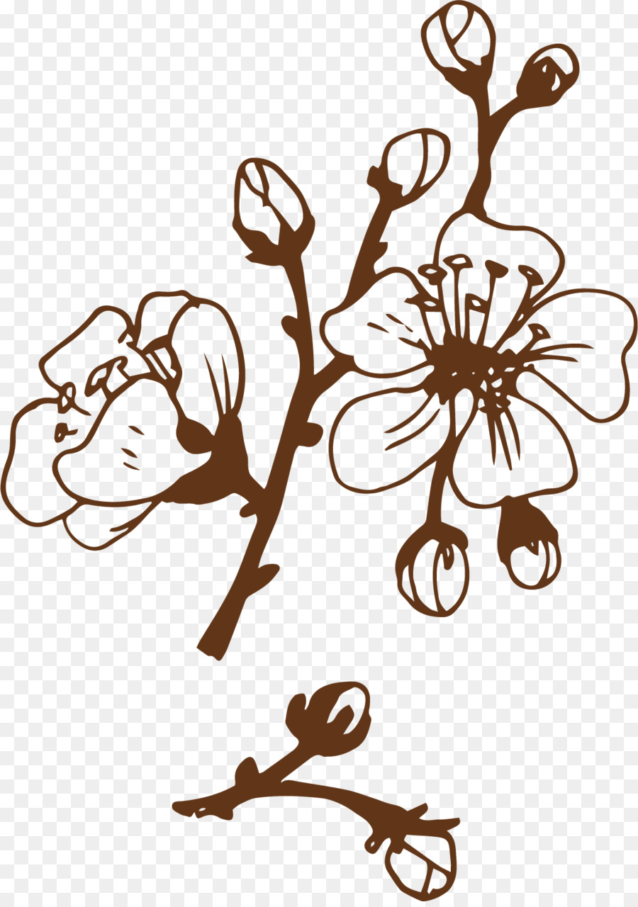 Cherry Blossom Tangan Dicat Bunga Sakura Gambar Png Unduh 1138