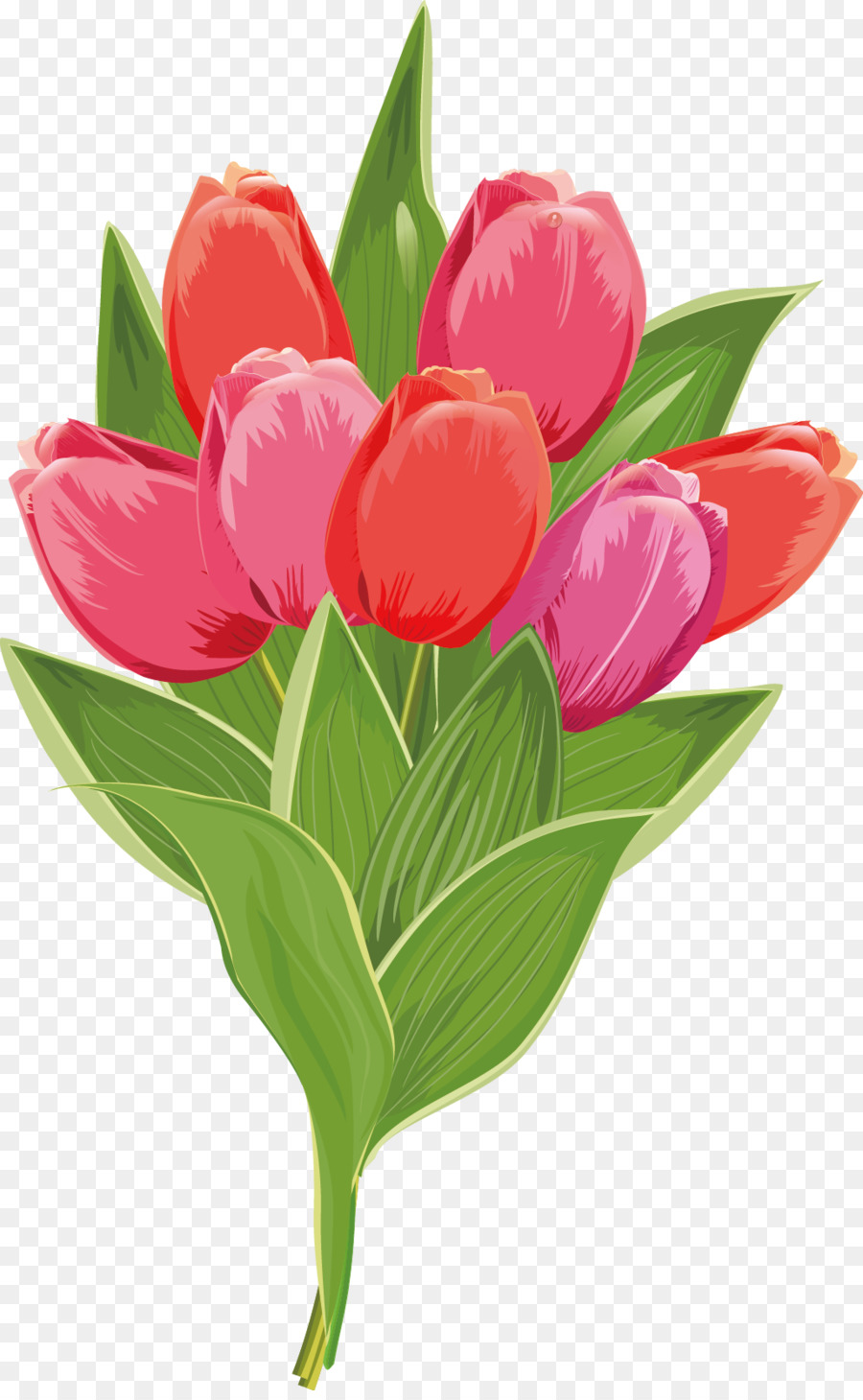 Tulip Euclidean Bunga Vektor Ilustrasi Dekorasi Bunga Unduh