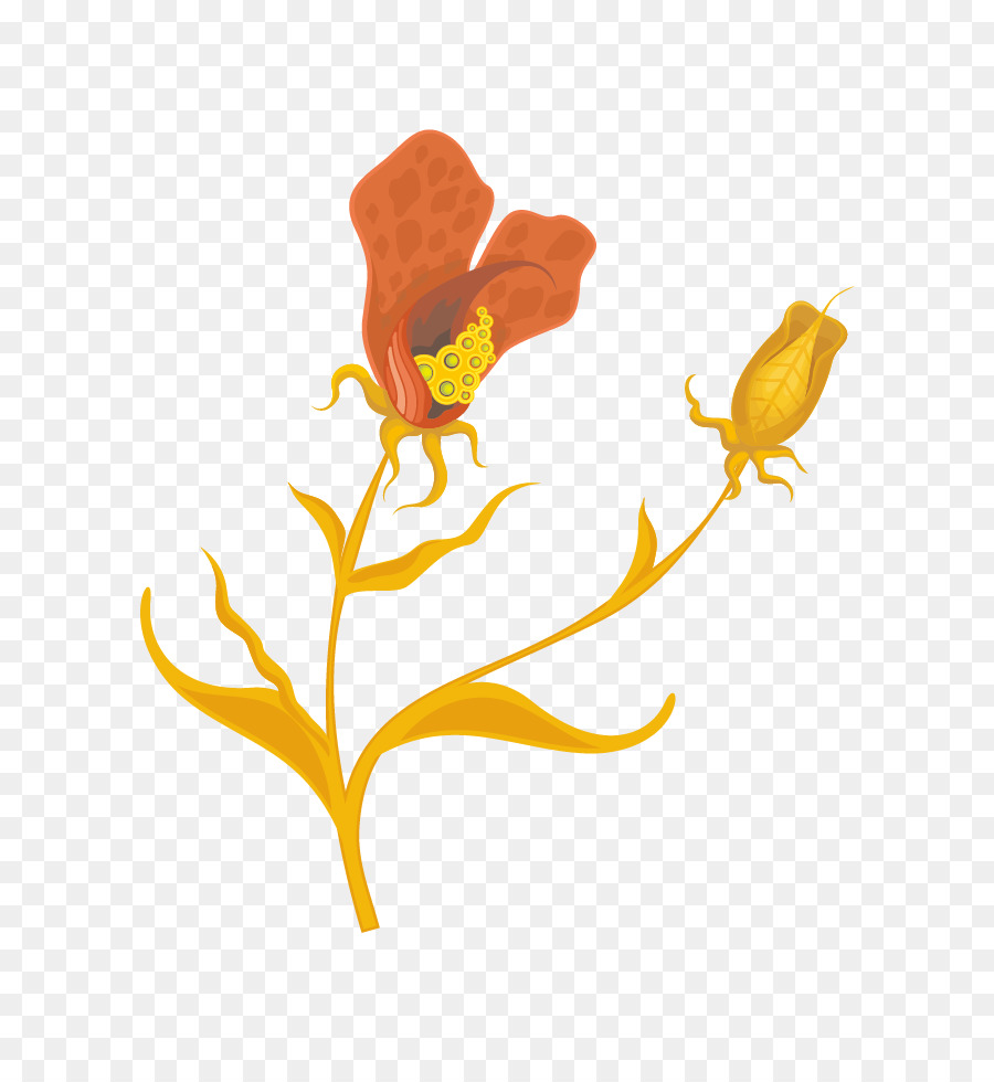 Gambar Ilustrasi Kelopak  Bunga  Hilustrasi
