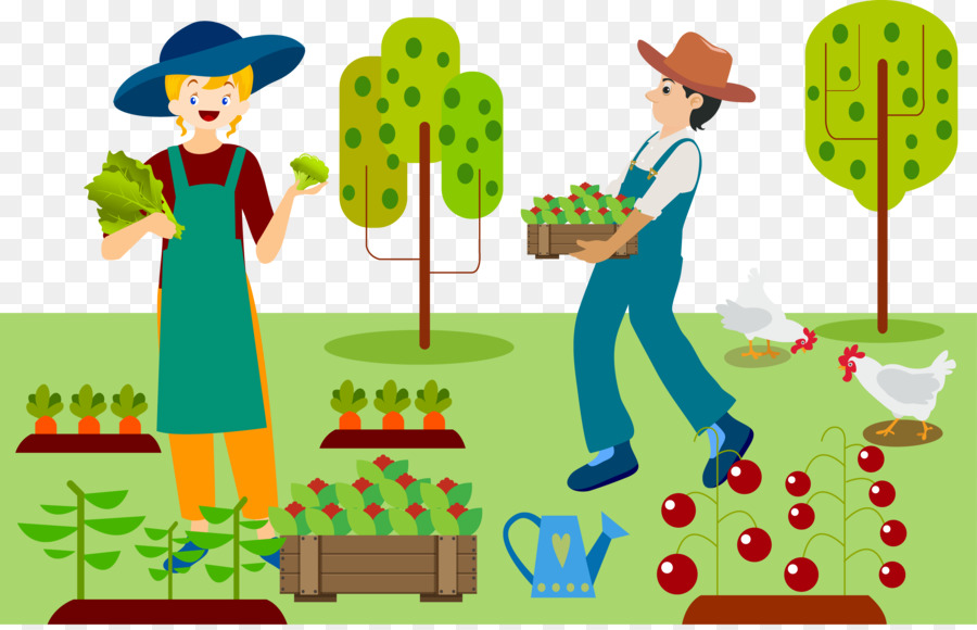 Agriculture Farmer Drawing Organic farming - Picking vegetables png