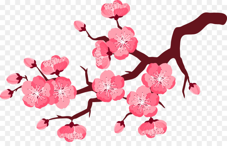 Cherry blossom Flower Clip art - Pink plum blossom png download - 2279