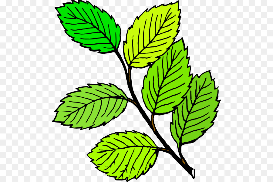Leaf Free content Drawing Clip art - Cartoon Leaves png ...